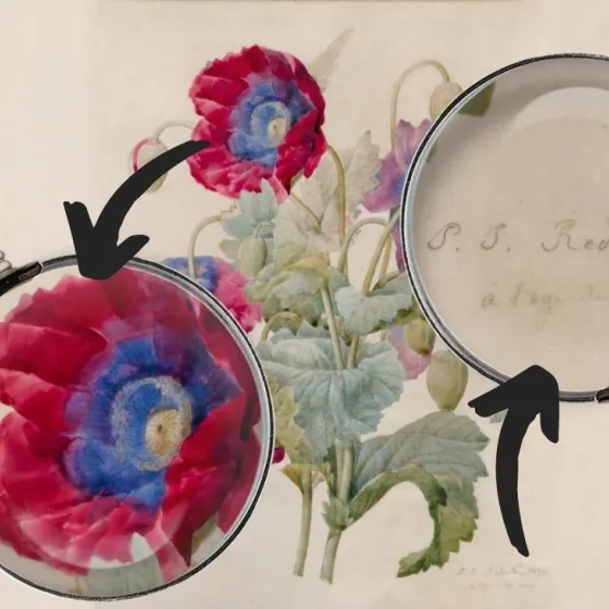 Visite famille redouté, cherche et trouve